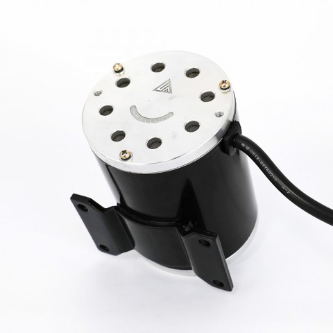 Motor Electric Brushless Motor1800W 48v With Controller Box 