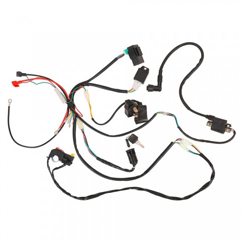 Complete Wiring Harness For Electric Start Engine Motorcycle Dirt Bike 70-125CC