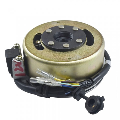 2 Pole Magneto Stator with Flywheel For GY6 125cc 110cc Quad Scooter