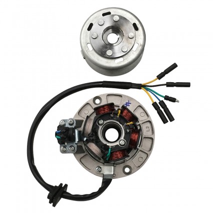 6 Coil Racing Magneto Stator Rotor Kit For YX 140cc 150cc 160cc Engine