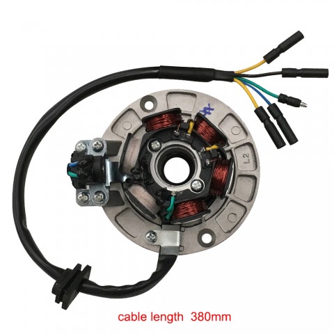 6 Coil Racing Magneto Stator Rotor Kit For YX 140cc 150cc 160cc Engine