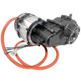 1000w 48v Brushless Differential Motor Assembly For Go Kart Trike ATV